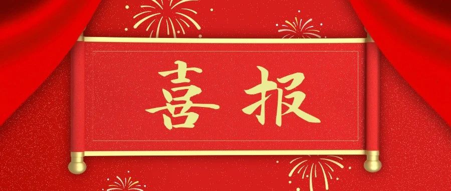 喜報(bào)丨速看！恒信咨詢(xún)工程造價(jià)鑒定項(xiàng)目入選2024年典型案例